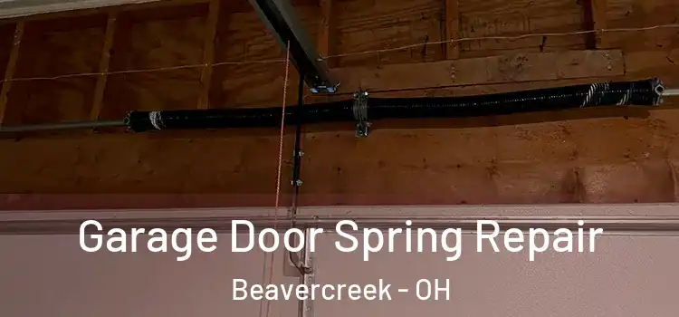  Garage Door Spring Repair Beavercreek - OH